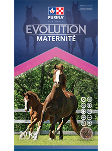 Purina Canada Évolution Maternité