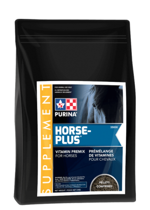 Horse Plus