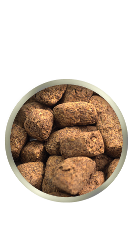 Purina Canada  Bouchée de pomme